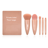 5pcs Plastic Handle Makeup Brushes In Nude Plastic Box