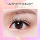 Single Cluster Natural Thick Color Sandwich False Eyelashes