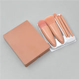 5pcs Plastic Handle Makeup Brushes In Nude Plastic Box